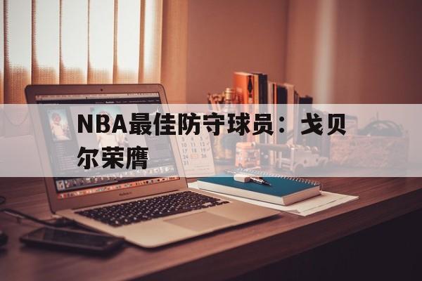 乐动体育官直播-NBA最佳防守球员：戈贝尔荣膺
